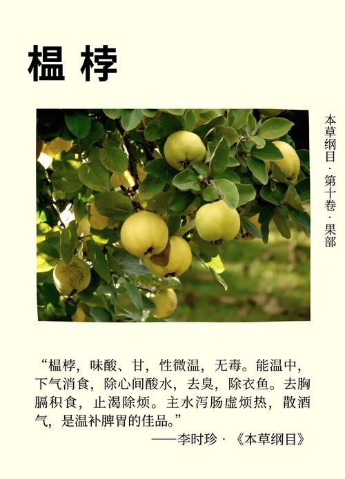 女孩说嚯嚯是什么意思缩略图