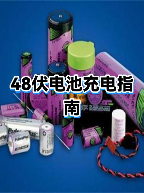 48v20ah最佳充电时机缩略图