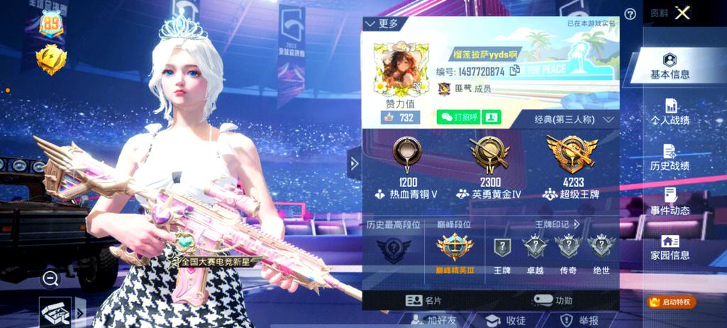 和平精英手游抽奖辅助缩略图