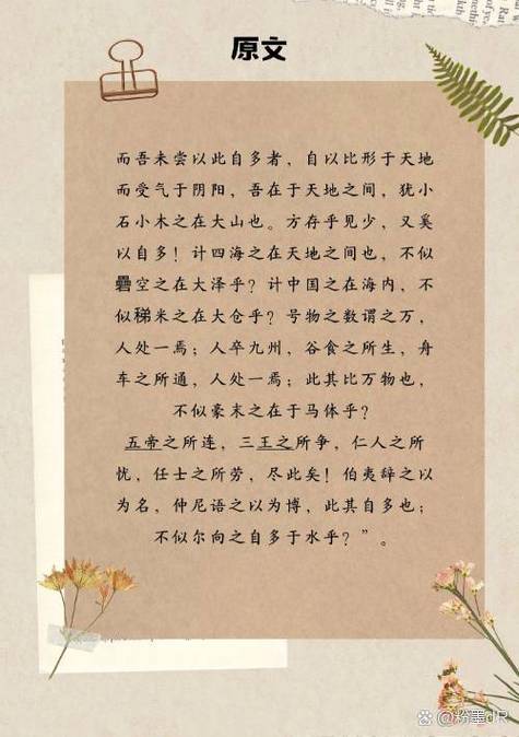 秋水现代文阅读答案缩略图
