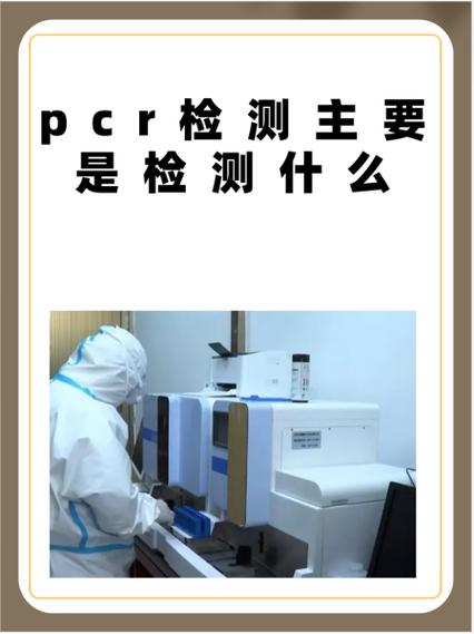 pcr检测主要是检测什么缩略图