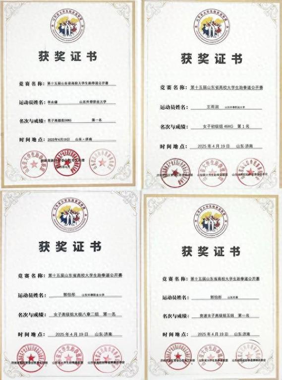 跆拳道证书个人查询游戏截图