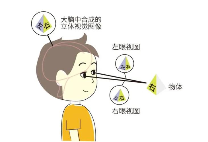 弱视视觉训练的方法游戏截图