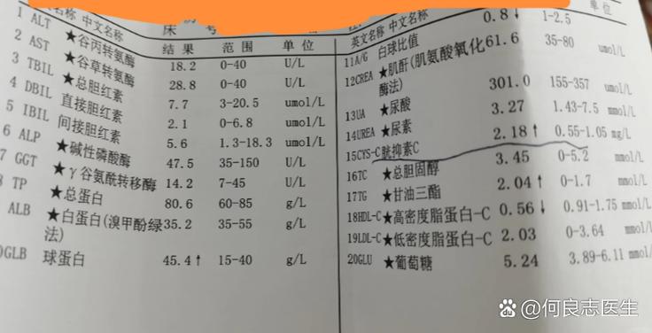 抑光素C临床意义游戏截图