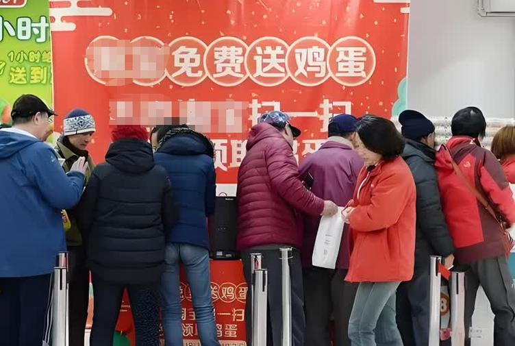 天天领鸡蛋喂不了鸡游戏截图
