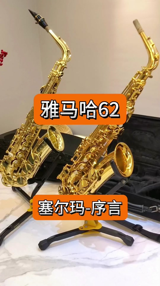 塞尔玛萨克斯缩略图
