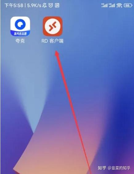 rd客户端中文版官网游戏截图