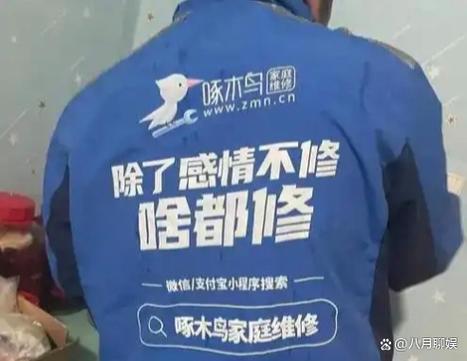 啄木鸟维修师傅接单游戏截图