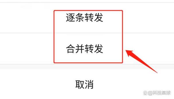 7聊语音视频聊天怎么打不开缩略图