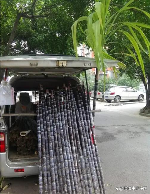 路边卖甘蔗赚钱吗缩略图