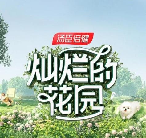 综艺节目推荐缩略图