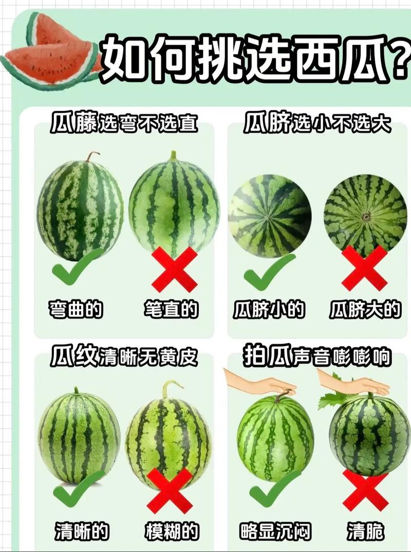 西瓜视频的注意事项缩略图