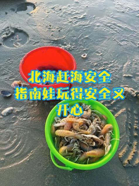 赶海注意事项缩略图