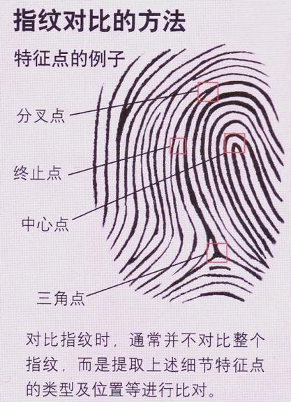 指纹鉴定多少钱游戏截图