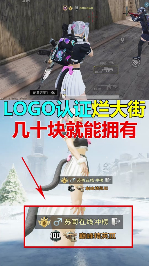 和平精英logo号是什么意思缩略图