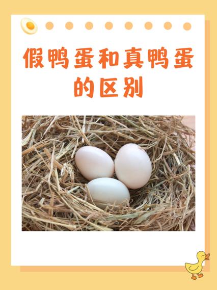 趣养鸭app真的假的游戏截图