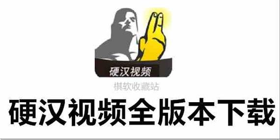 《硬汉视频在线观看免费完整版》_免缩略图