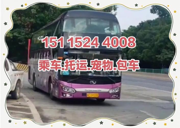 长途客运查询游戏截图