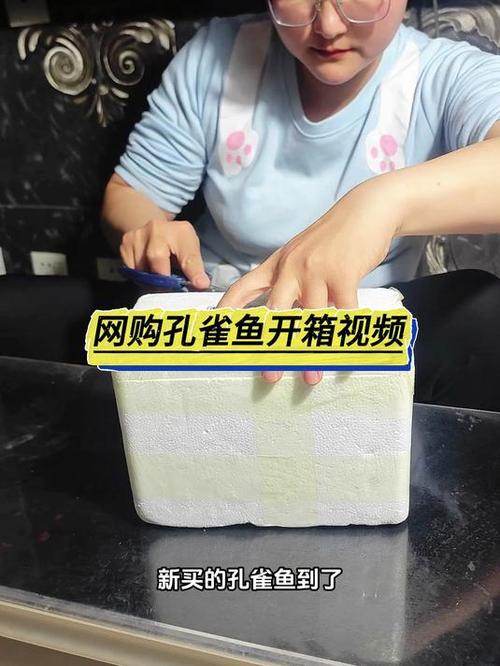 买孔雀鱼缩略图