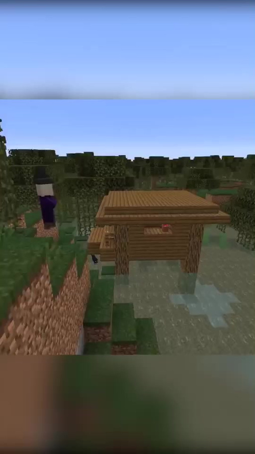 mc女巫小屋游戏截图