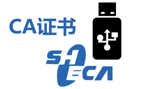 黄鸟ca证书下载缩略图