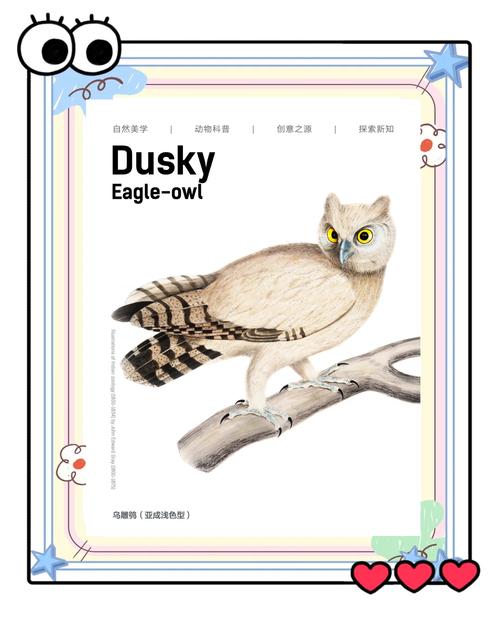 猫头鹰传媒旗下艺人名单缩略图