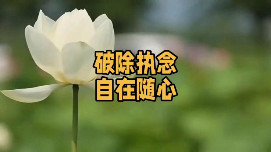 电脑桌面如何随意放置图标缩略图