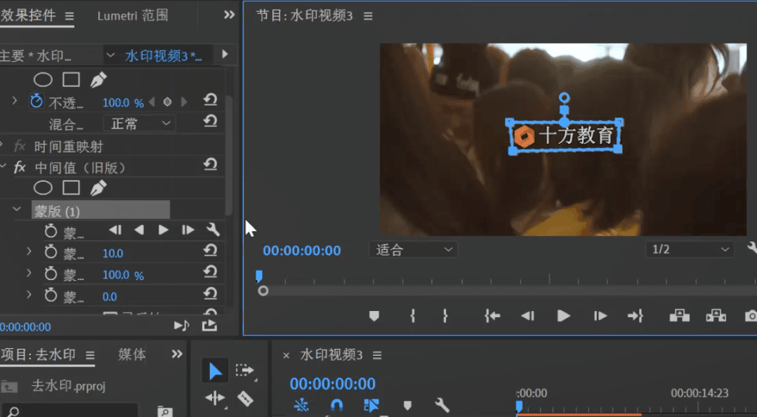 pr视频去水印缩略图