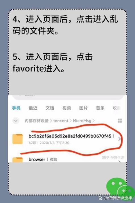 全民小视频文件夹在哪图标