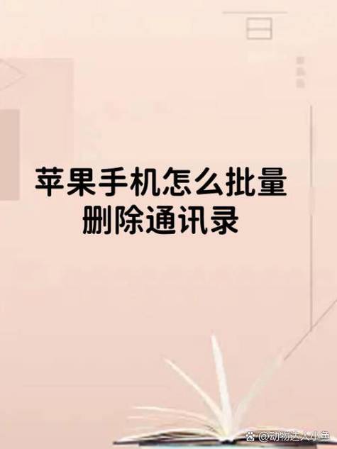 vivo如何批量删除通讯录联系人缩略图