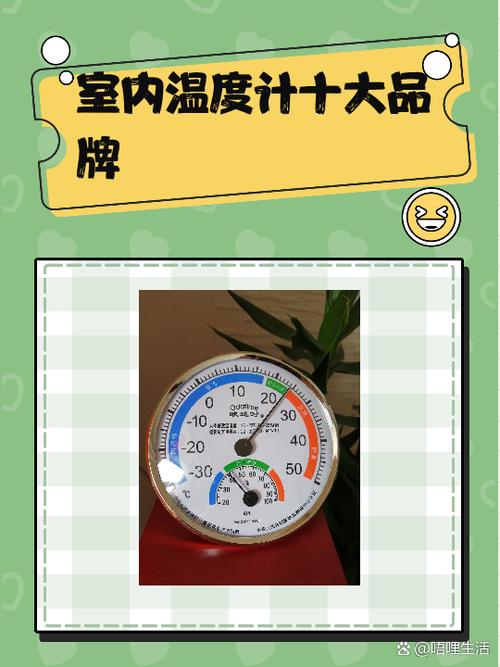 水温计十大名牌排名游戏截图