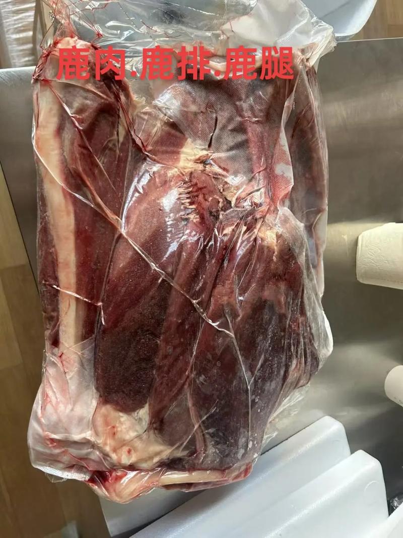 珊瑚鹿腿游戏截图