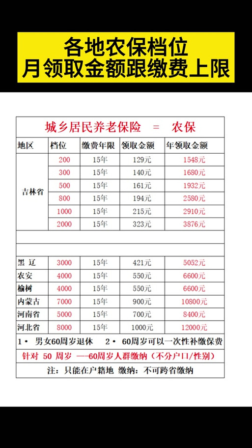 新农保一共有多少个档次游戏截图
