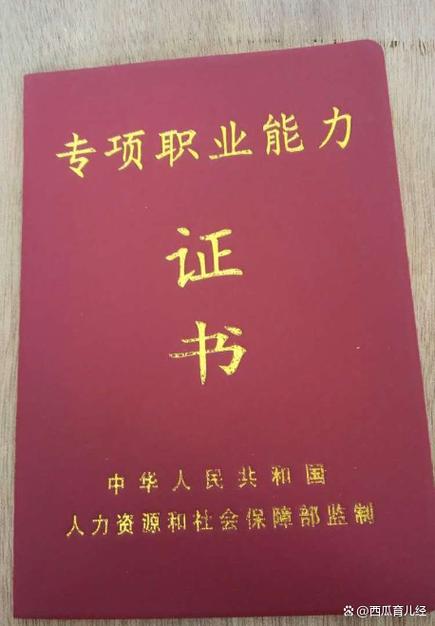 查询穆应婵现代家政服务证书游戏截图