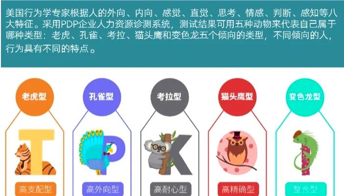 pdp测试缩略图
