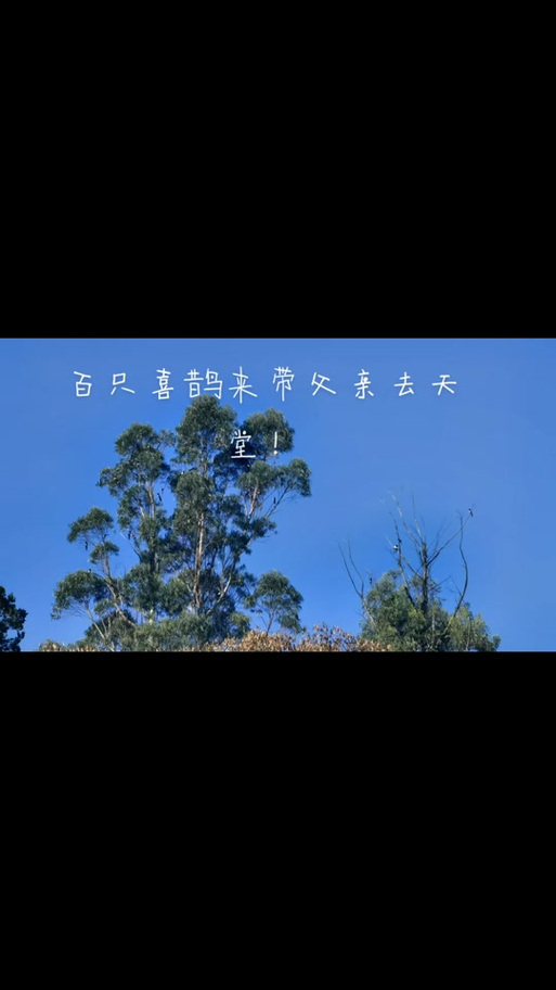 引路天堂缩略图