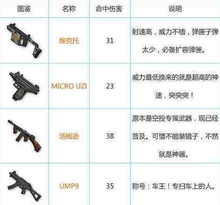绝地求生拾取一把sr是什么枪