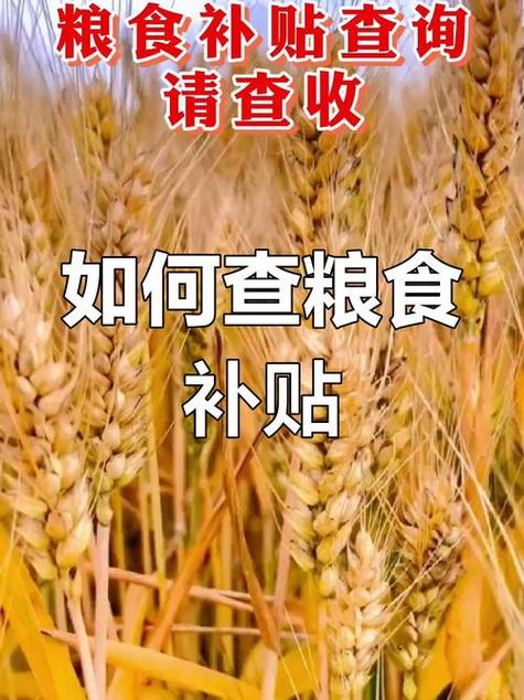 12316粮食补贴查询app下载缩略图