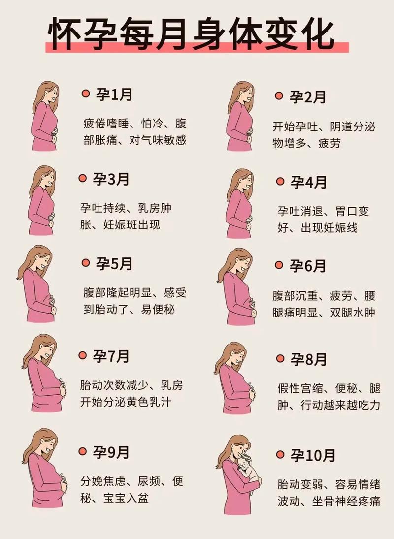 孕妇10月怀胎图缩略图