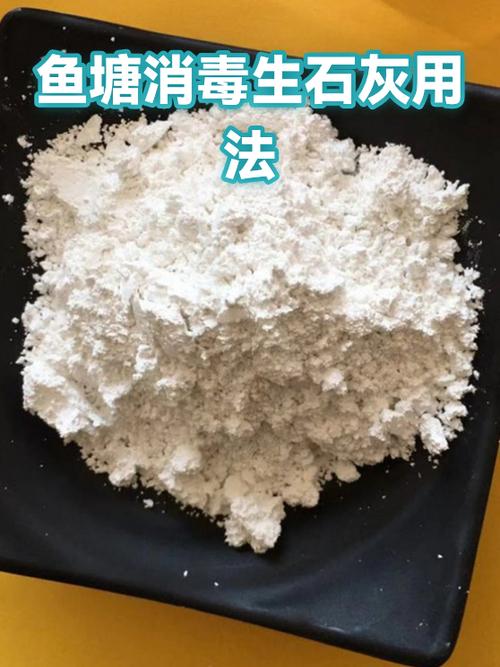 鱼塘有鱼怎样用生石灰消毒缩略图
