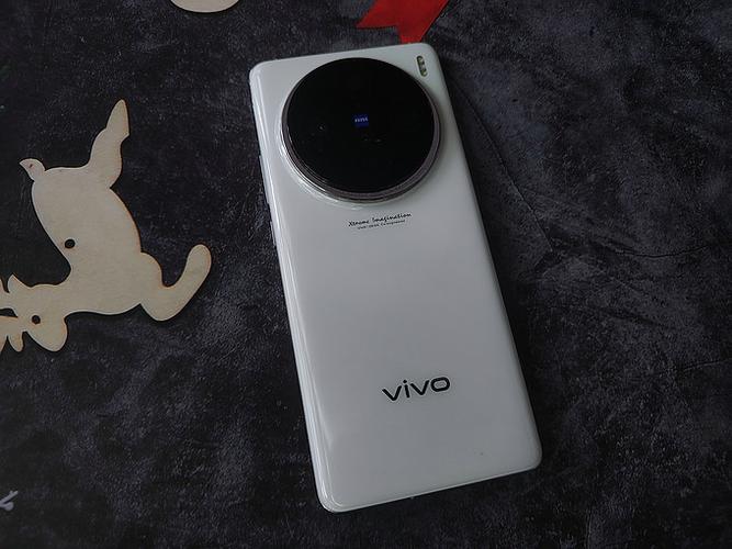 vivox100像素多少缩略图