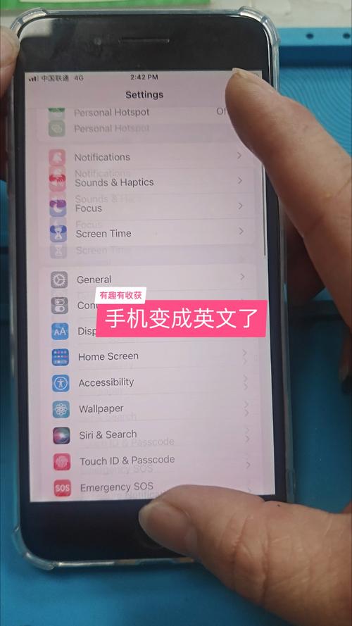 苹果手机把英文设置成中文缩略图