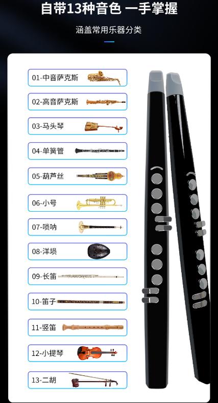 电吹管哪个牌子好质量排名缩略图