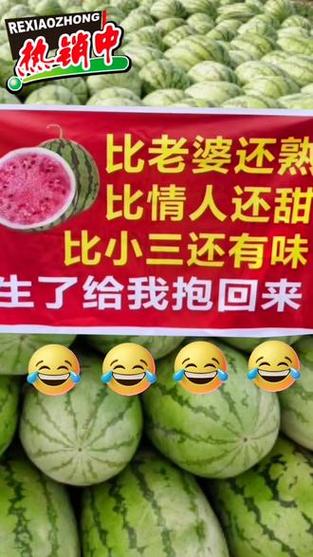 西瓜广告语缩略图
