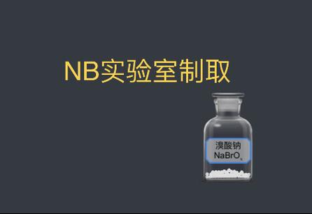 nb化学实验室官网缩略图