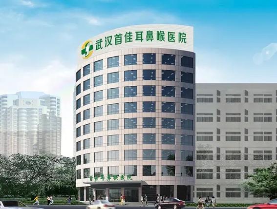 武汉儿童耳鼻喉科哪个医院最好缩略图