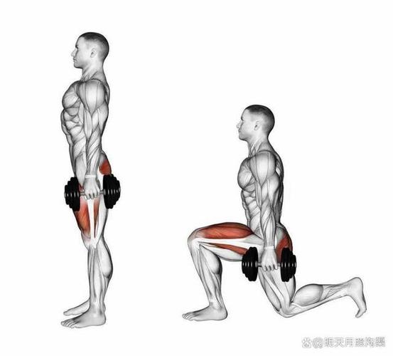 健身训练缩略图