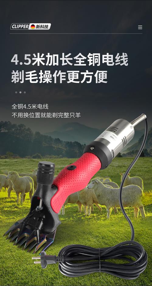 薅羊毛工具v7.0缩略图