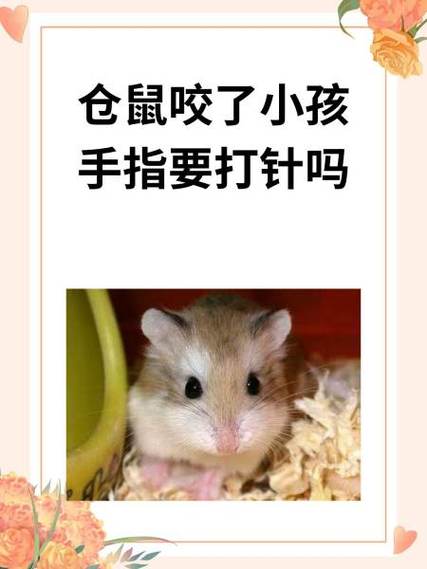仓鼠轻轻咬人手要警惕缩略图