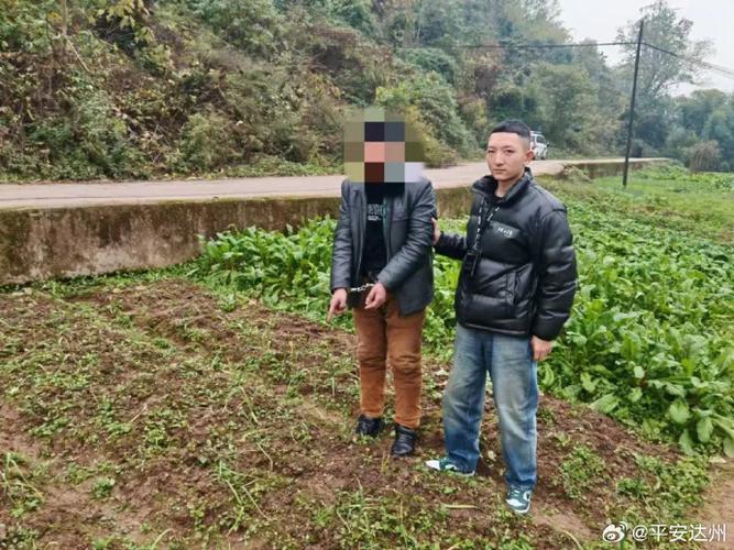 偷菜报警警察会处理吗缩略图